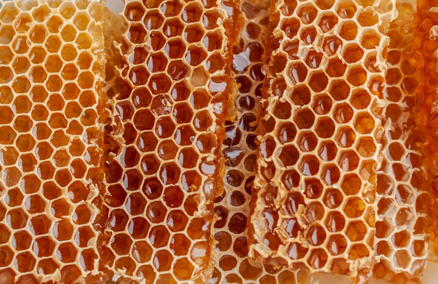Illustrative honey extraction photograph